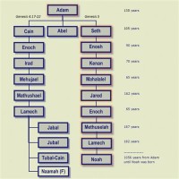 Adam And Eve Family Tree Chart