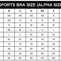 Adidas Sports Bra Size Chart