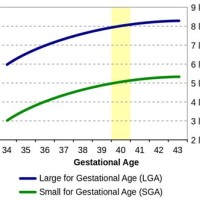 Adjusted Gestational Age Growth Charts