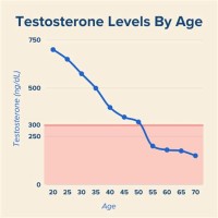 Age Testosterone Levels Chart