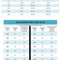 Airlife Asthma Check Chart