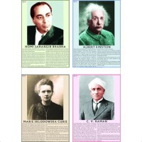 Albert Einstein Biography Chart