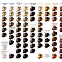 All Nutrient Hair Color Chart