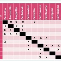 Allergy Cross Reactivity Chart