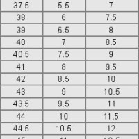 Alpina Skate Boot Size Chart