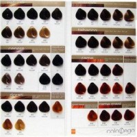 Alter Ego Hair Color Chart