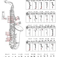 Alto Sax Notes Chart With Letters