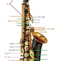 Alto Saxophone Key Chart