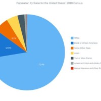 America Race Demographics Pie Chart