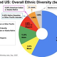 America Race Pie Chart 2020