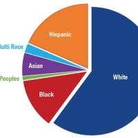 America Race Pie Chart 2021