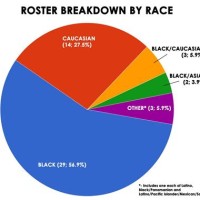 America Race Pie Chart