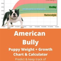 American Bully Puppy Weight Chart