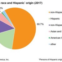 American Ethnic Pie Chart