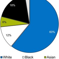 American Ethnicity Pie Chart 2018