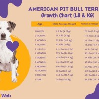 American Pit Bull Puppy Growth Chart