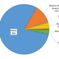 American Race Pie Chart 2018