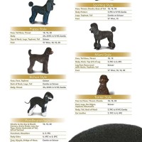 Andis Dog Grooming Blade Chart