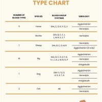 Animal Blood Types Chart