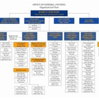 Anizational Flow Chart Exles