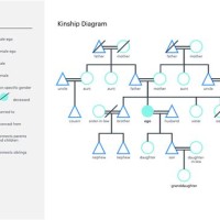 Anthropology Kinship Chart Generator