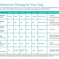 Antihistamine Dog Dose Chart