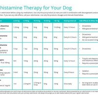 Antihistamine For Dogs Dosage Chart