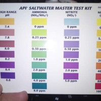 Api Ammonia Test Strip Chart