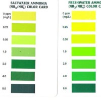 Api Ammonia Test Strip Color Chart