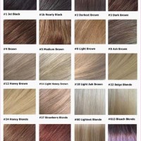 Argan Hair Color Chart