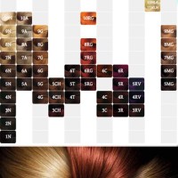 Argan Oil Hair Dye Color Chart