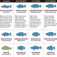 Arkansas And Fish Forecast Charts 2021