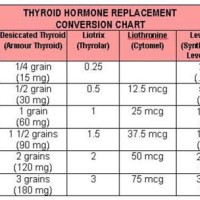 Armour Thyroid Conversion Chart Levothyroxine