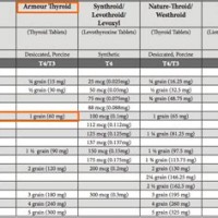 Armour Thyroid Equivalent Chart