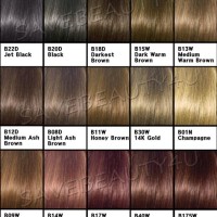 Ash Black Hair Color Chart