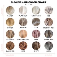 Ash Blonde Hair Dye Colour Chart