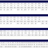 Asics Junior Tennis Shoes Size Chart