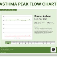 Asthma Peak Flow Chart Excel Template