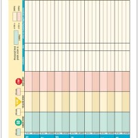 Asthma Peak Flow Chart Pediatric