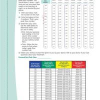 Asthmamd Peak Flow Meter Chart