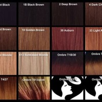 Auburn Brown Hair Color Chart