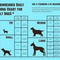 Authority Dog Food Feeding Chart