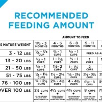 Authority Large Breed Dog Food Feeding Chart