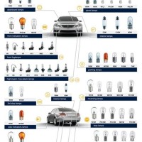 Automotive Light Bulb Types Chart