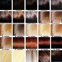 Aveda Light Brown Hair Color Chart