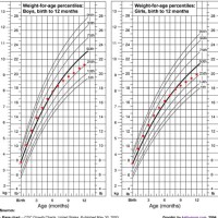 Average Baby Weight Chart Percentile