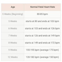 Average Fetal Heart Rate By Week Chart