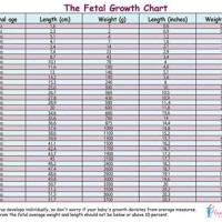 Average Fetal Weight Chart In Kg M2