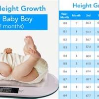 Average Growth Weight Chart For Babies