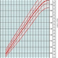 Average Height For 4 Year Old Boy Growth Chart